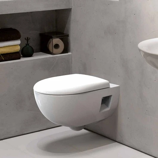 Унитаз подвесной Geberit Renova 203070000  безободковый